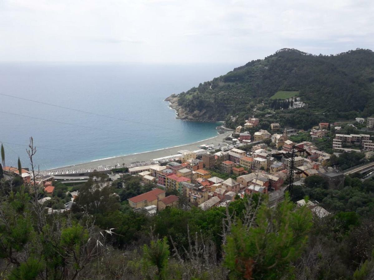 Casa Vacanza Angela Villa Bonassola Dış mekan fotoğraf