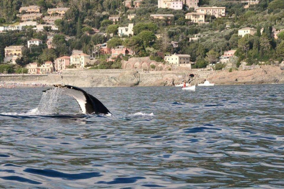 Casa Vacanza Angela Villa Bonassola Dış mekan fotoğraf